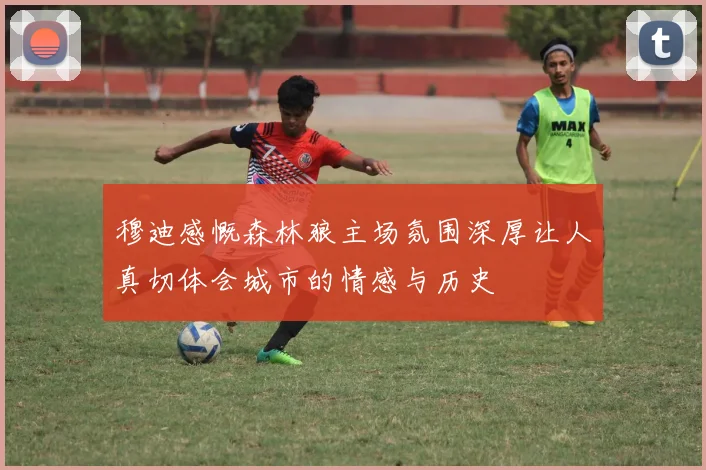 穆迪感慨森林狼主场氛围深厚让人真切体会城市的情感与历史